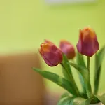 Iris Am Garni 3* Radolfzell am Bodensee